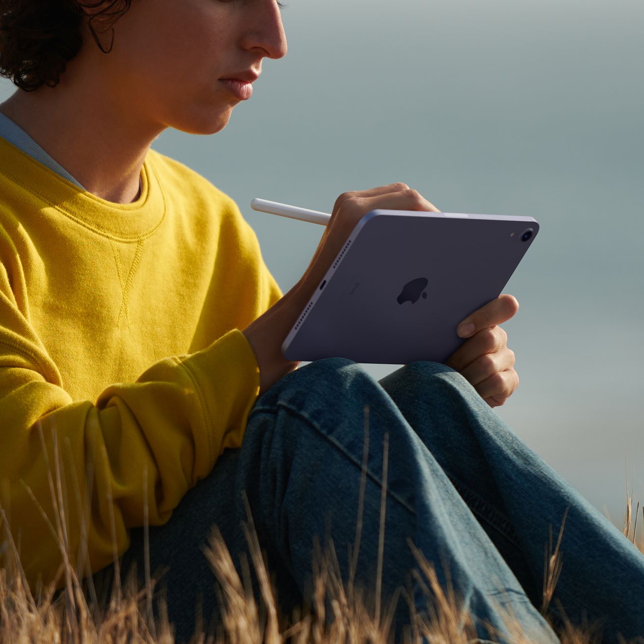 Планшет Apple iPad mini 6 2021 Wi-Fi 256 ГБ, Purple
